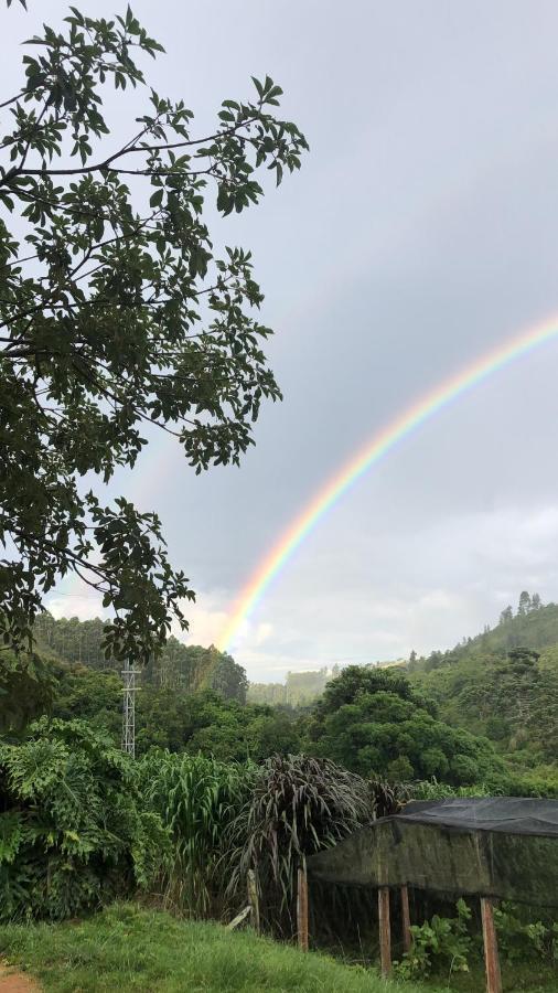 Pousada Pedra Da Mata Chales Na Montanha Munhoz 외부 사진