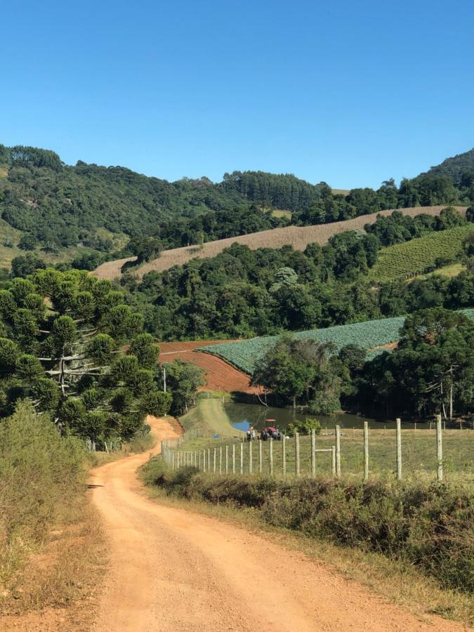 Pousada Pedra Da Mata Chales Na Montanha Munhoz 외부 사진